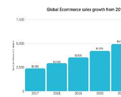 Ecommerce Business Investment